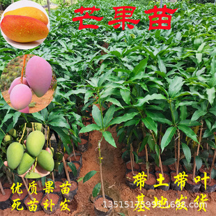 ���lâ���޽ӹ������ļ�â��t�F��â����P��â����ͥԺ��������