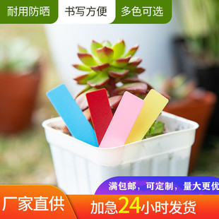 One-line flower small label succulent plant plastic waterproof succulent label gardening seedling flower pot inserting card