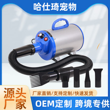 狗狗吹风机高速宠物吹风机带美容加热器无级变速烘干机跨境新品