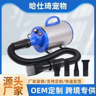 Dog Hair Dryer High-Speed Pet Hair Dryer with Beauty Heater Stepless Speed Dryer Cross-Border New Product