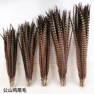 �F؛�ߴ�ȫ10-65CM��ɽ�uβ��Ȼ��ë��؈����̨�Ʒ��������r��