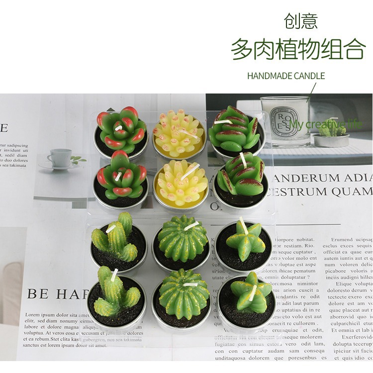 Nueva iluminación en caja vela simulación cactus flor vela planta suculenta vela Día de San Valentín té cera