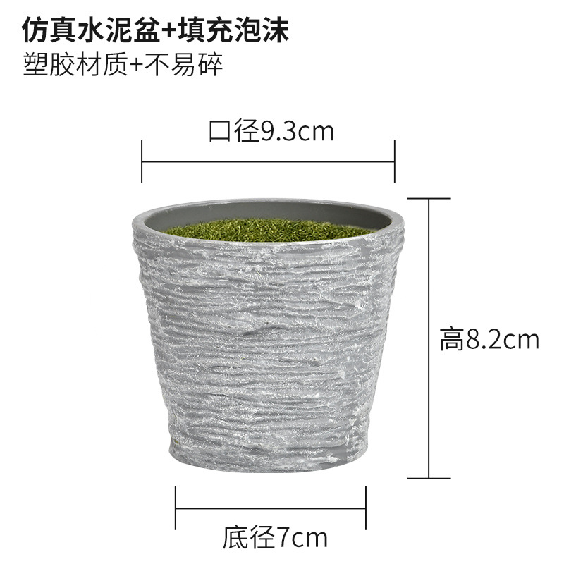 仿真水泥盆+填充泡沫