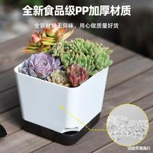 多肉花盆塑料大口径多肉植物盆栽个性桌面小号盆价