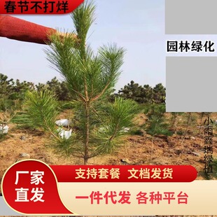 һ�����l�ɘ��ͺ������ľ�繤���������ϱ�����G��������С���\