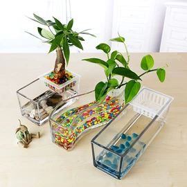 鱼缸;装饰花瓶;微景观瓶