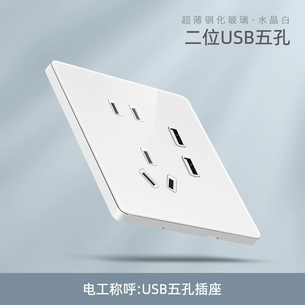 Five -hole dual USB socket