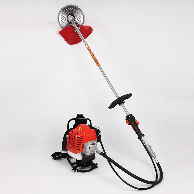 u=1678911803,2811350377&fm