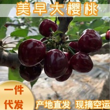 ��S���\���������|�����B���a܇�������rˮ���Fժ�a��ֱ�l���l