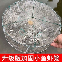 �~�W��ɫ�A���ۯB5�첶�~�\�r�\�r�W��С�~�W�O�W���~�Ӵ��S�X�\