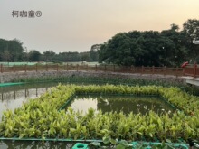 �˹����B�������B���u�˹�����ˮ�ϷNֲ���B����ˮ�ϷN��ˮ��̫��