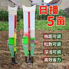 ���יC�������c����ʩ���S���N���ȷNֲ�c�����N�Cһ�w�C