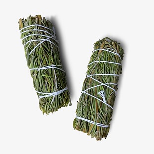 Rosemary sage�Ե������ֲ����������ƽ�o��޹���g�՚�������
