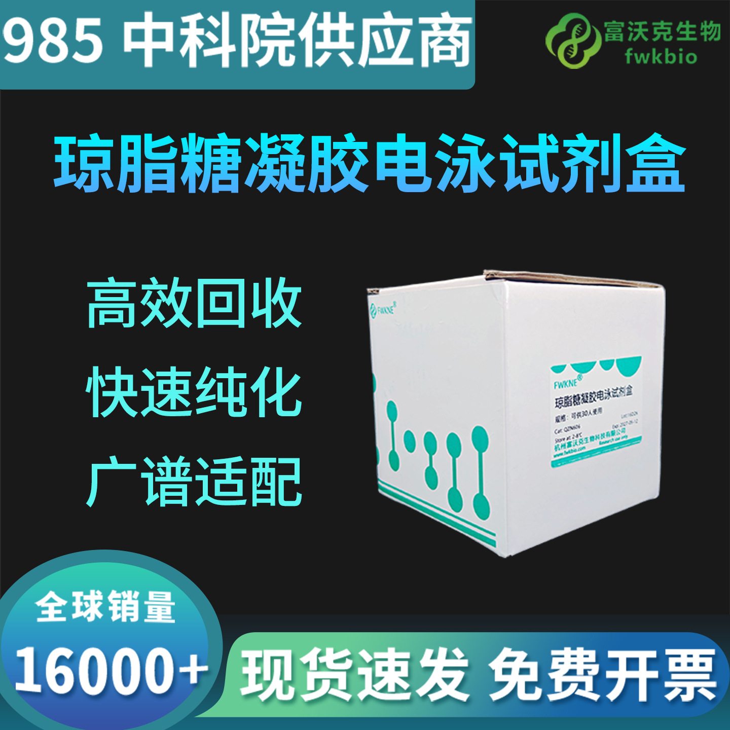PCR教学琼脂糖凝胶电泳教学试剂盒 高中生物 含DNA Marker