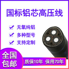 Sֱ ߉Xо|8.7/15KV3о35ƽ-500ƽYJLV22zb߉