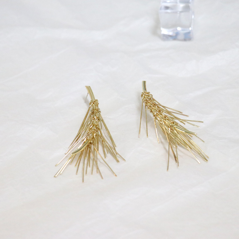 Fashion Geometric Symmetry Wheat Shaped Frosty Alloy Earrings display picture 11