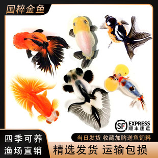 ������~���~�^�p�~С�͵�ˮ���B��ˮ�~�~������С���~�m���\��