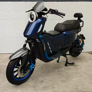 Трансграничный горячий продавать электрический велосипед мотоцикл ebike
