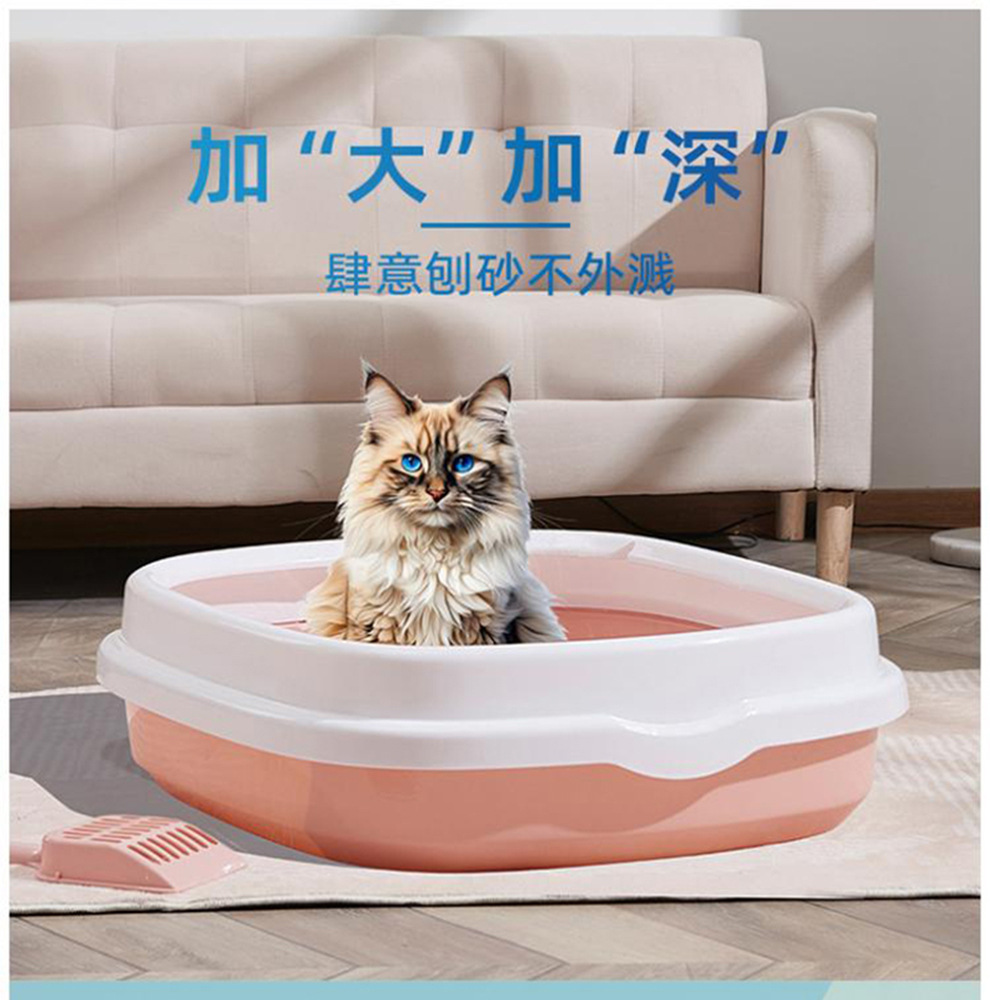 详情_01.jpg