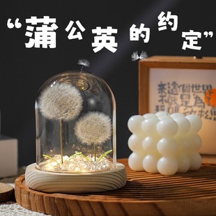 Cross-Border Dandelion Finished Product Night Light Eternal Flower Glass Cover Desktop Decoration Dried Flower Small Ornament Mid-Autumn Festival Gift