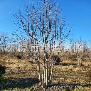 �����ٻ���鱘�2-5�׾G����ľˮ�ܻ�鱾��^��ڹ����С��