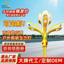 道路照明灯;太阳能灯;路灯