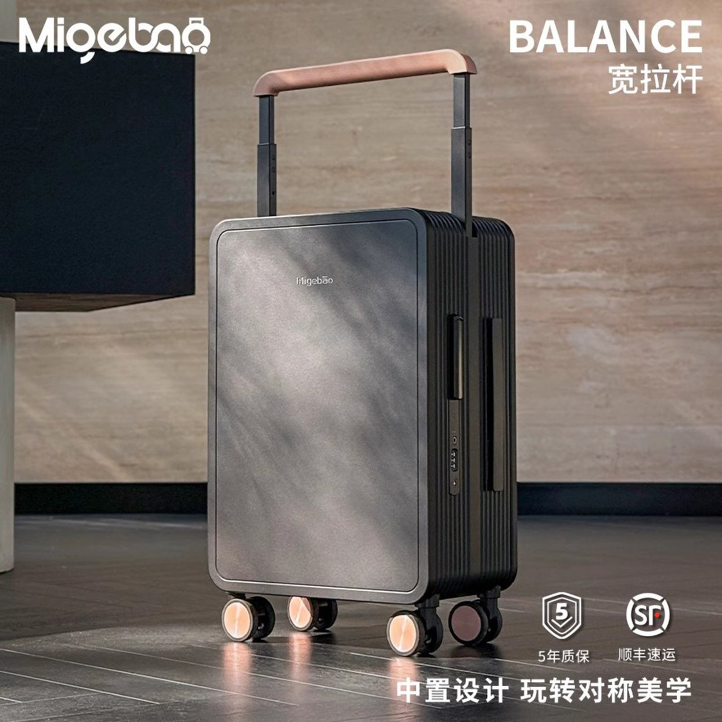 Trolley Case