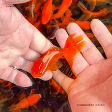 С���~�ͻ���B�^�p�~���wС���~��ˮ�~�{���^���~����w���~���~