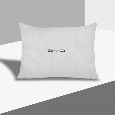 Song Pro Qin plus Tang | Headrest - high-end-punching-model-off-white-waist-support-1-pack