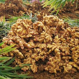 �������С�S���r���۽����ӽ��F�ڽ����l2/4/6/10���������l�羳