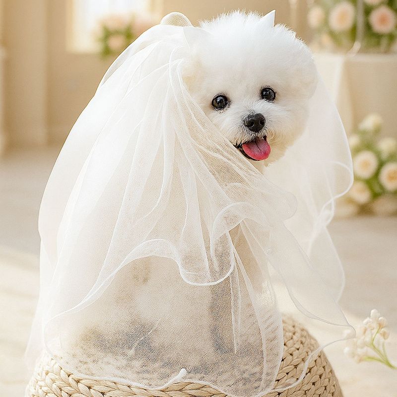 現物クロスボーダー爆発金ペット子犬猫白い蝶結び花嫁のベールのウェディングドレスの源工場直売卸売り|undefined