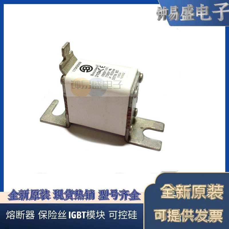 美国BUSSMANN熔断器170M2608  170M2609  170M2610  170M2611