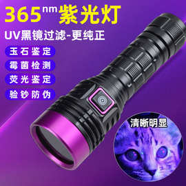 新款紫光灯手电筒大功率365nm紫外线照烟酒纸币玉石鉴定蓝光
