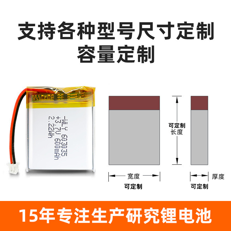 폴리머 리튬 배터리 맞춤화