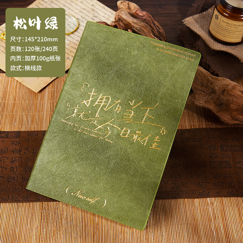 A5便携杜邦笔记本励志文字简约高颜值烫金手帐记事本笔记本可定制|undefined