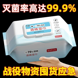 湿巾纸;马桶洁厕剂;多用途清洁剂