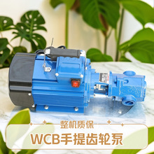 上海酷瑞柴油齿轮油泵 WCB-100 手提式小型自吸齿轮泵 齿轮油泵