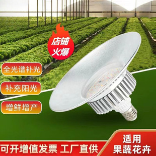 Full Spectrum LED Sun-like Vegetable Strawberry Flower Seedling Indoor Fleshy Plant Growth Light Light