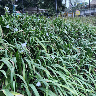 ����� �����~ ������ �F��� �����~�� �@�־G�����a�ر�ֲ��