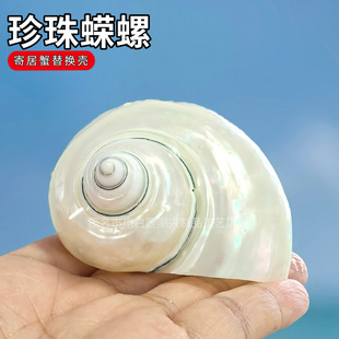 ����ϔ����Ȼؐ�������ֹ�diy�ľ�з��ؐ�~�Ú��~���쾰ˮ���b