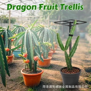 垂直园艺金属火龙果架 可调节植物格子支架 攀岩植物攀爬支架