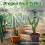 格子垂直植物攀爬攀岩