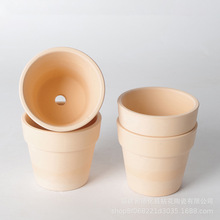 �S�����l�t�ջ���͸��͸ˮ��ˮ�ɷN����С�Gֲ��ͯ�ֹ�diy�؟�