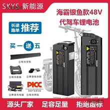 電動車鋰電池48V鋰電池10AH20安外賣代駕折疊車銀魚海霸款麥太保