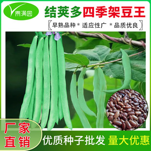 ���l�ļ��ܶ����G���ܶ������o�ܶ��o�ܿ�������׶��ǷN�Ӵ�ȫ