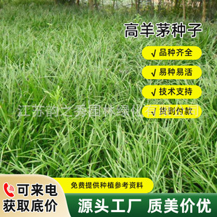 ����é�����ͺ���ƺ�N���ļ����o�¾G����������������`̤ͥԺ