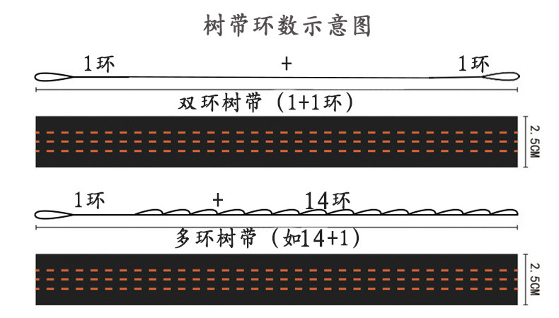 樹帶環數示意圖.jpg?x-oss-process=image/format,png