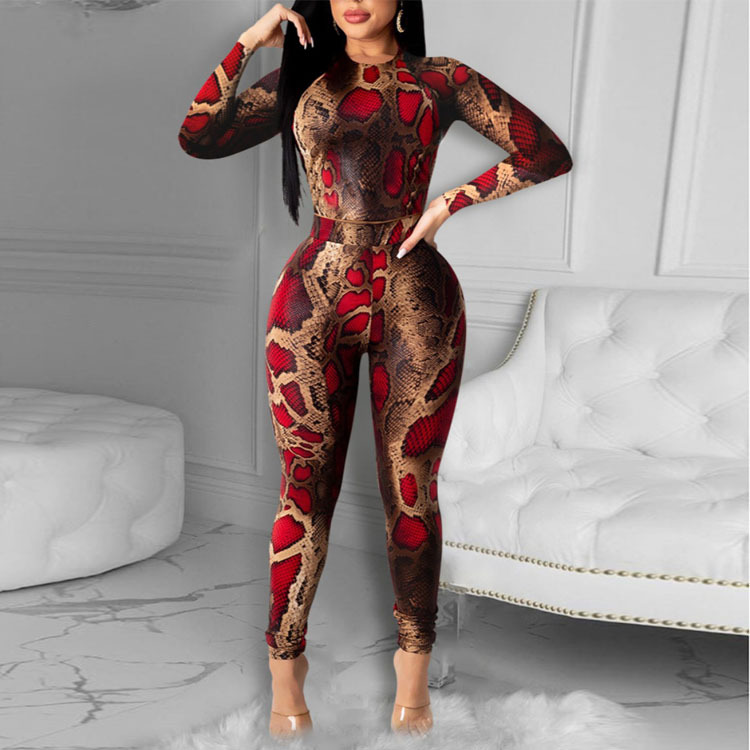 Slim Tight Snake Print Long-Sleeved Set NSYMA55300