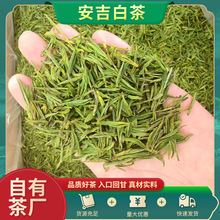 新鲜白茶茶叶2025新茶高山手工采摘家用回甘绿茶安吉品种春茶散装