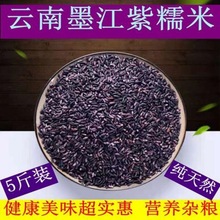 云南墨江紫糯米农家自种饭团粽子用米血糯米今年新米老品种紫糯米
